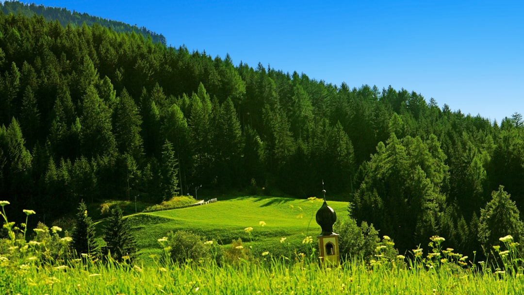 Golf Tournament Travel Smart Flight Booking Insights - Anticipating… — Golf Tournament Travel Smart Flight Booking