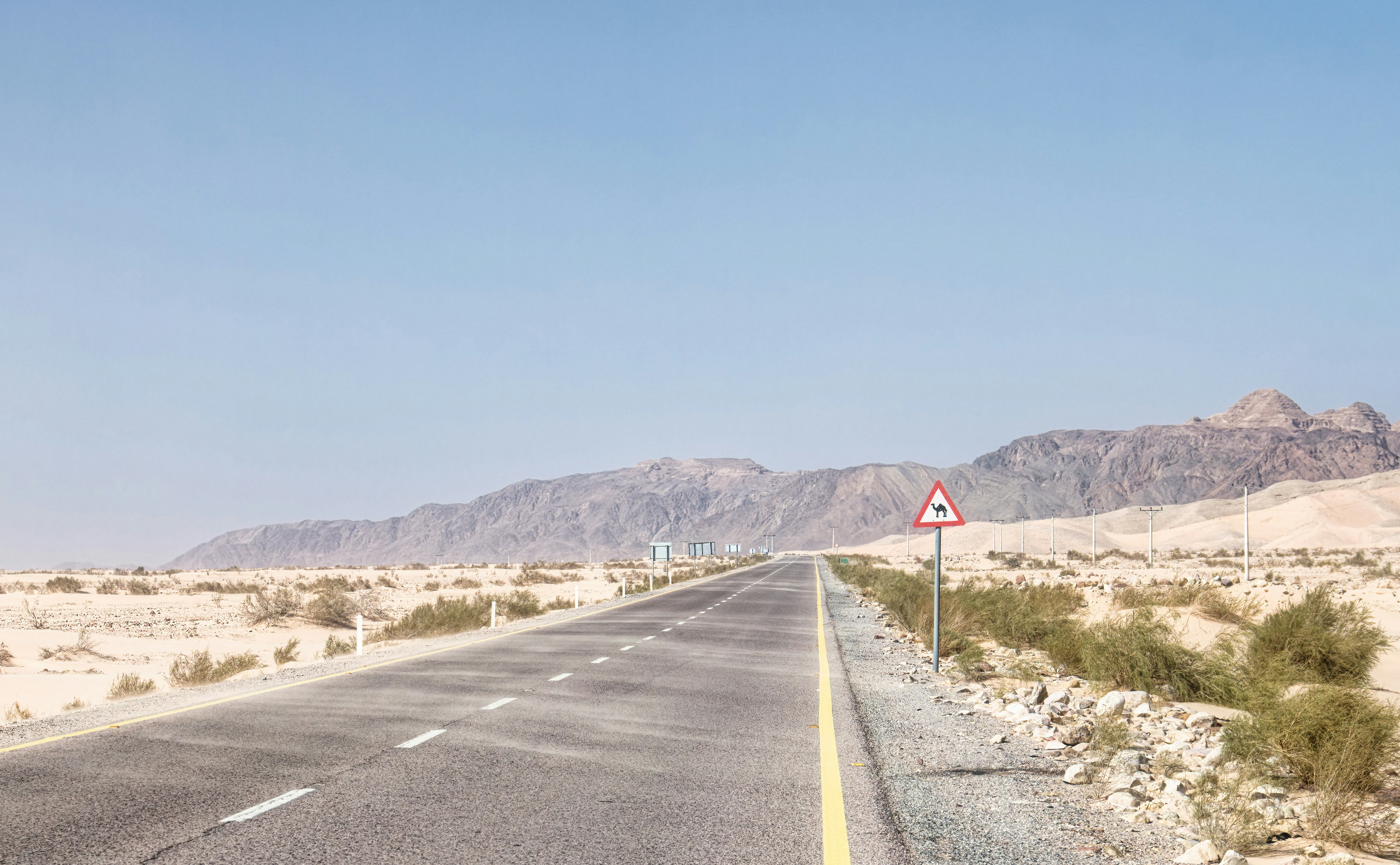 gray concrete road near mountain under blue sky during daytime, Road sign indicating crossing camels on desert road in Wadi Araba, Jordan
