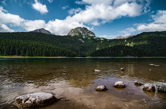 green mountain beside body of water under blue sky during daytime in Durmitor mendigunea Montenegro