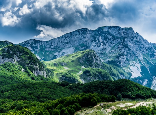 green and gray mountain under cloudy sky during daytime in Durmitor mendigunea Montenegro