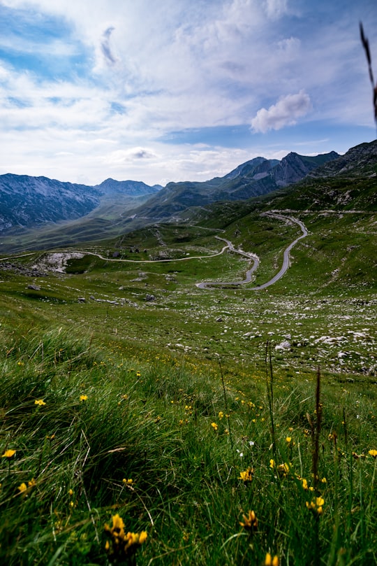 None in Durmitor mendigunea Montenegro