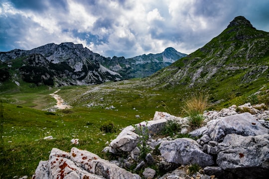 green grass field near mountain under white clouds and blue sky during daytime in Durmitor mendigunea Montenegro