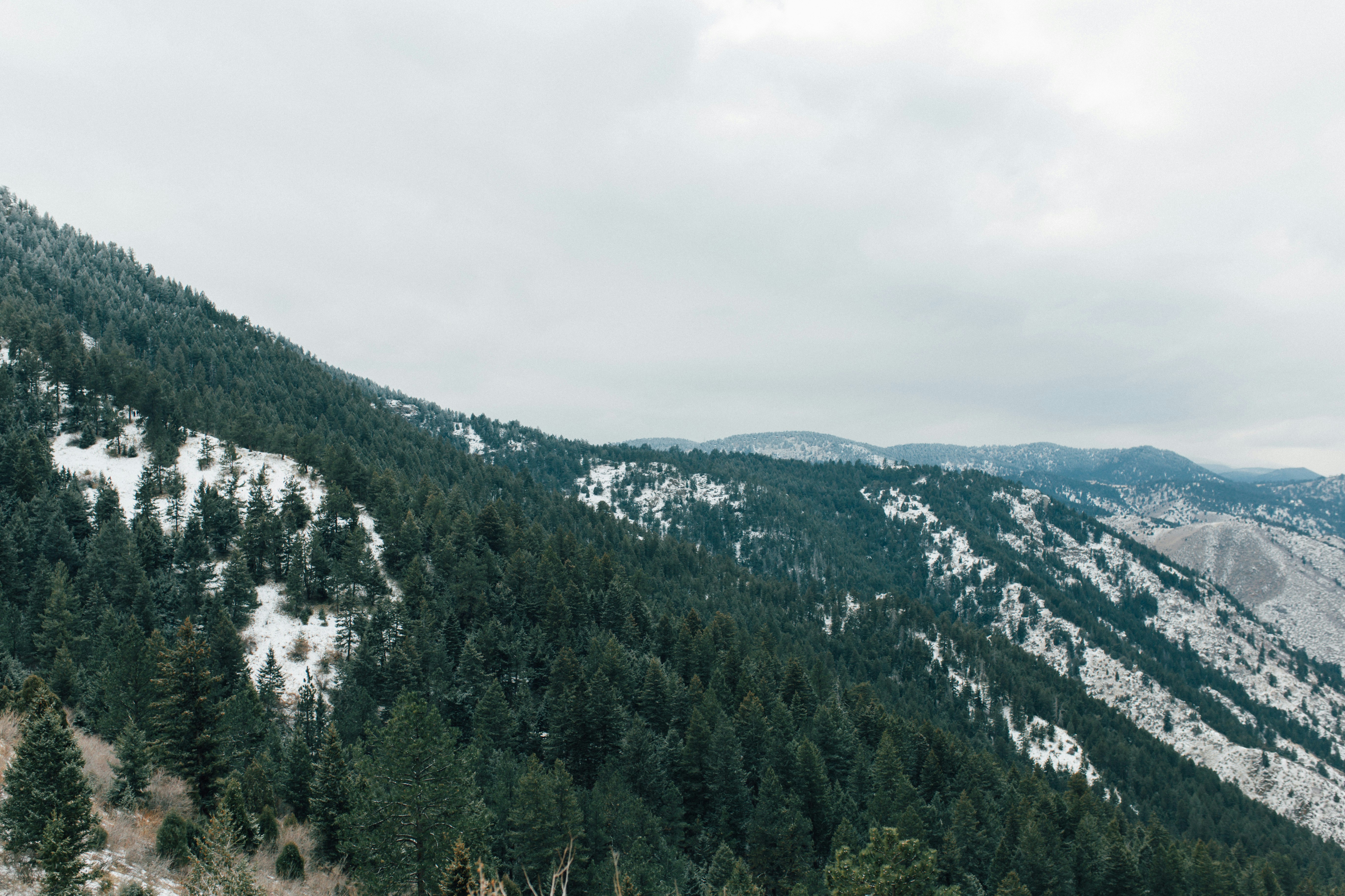 Photo by hadassah_carlson