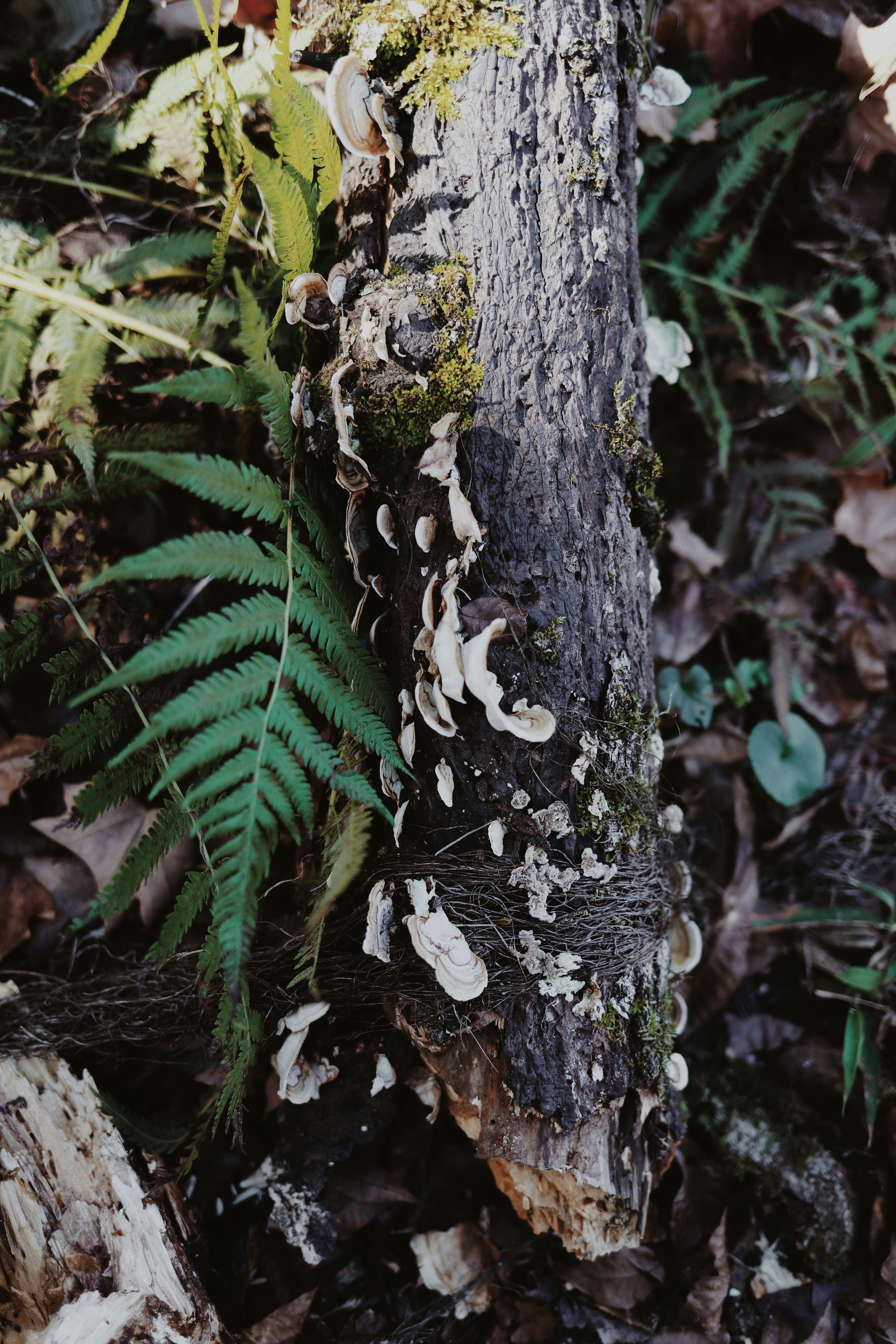 Photo by amyjoyhumphries