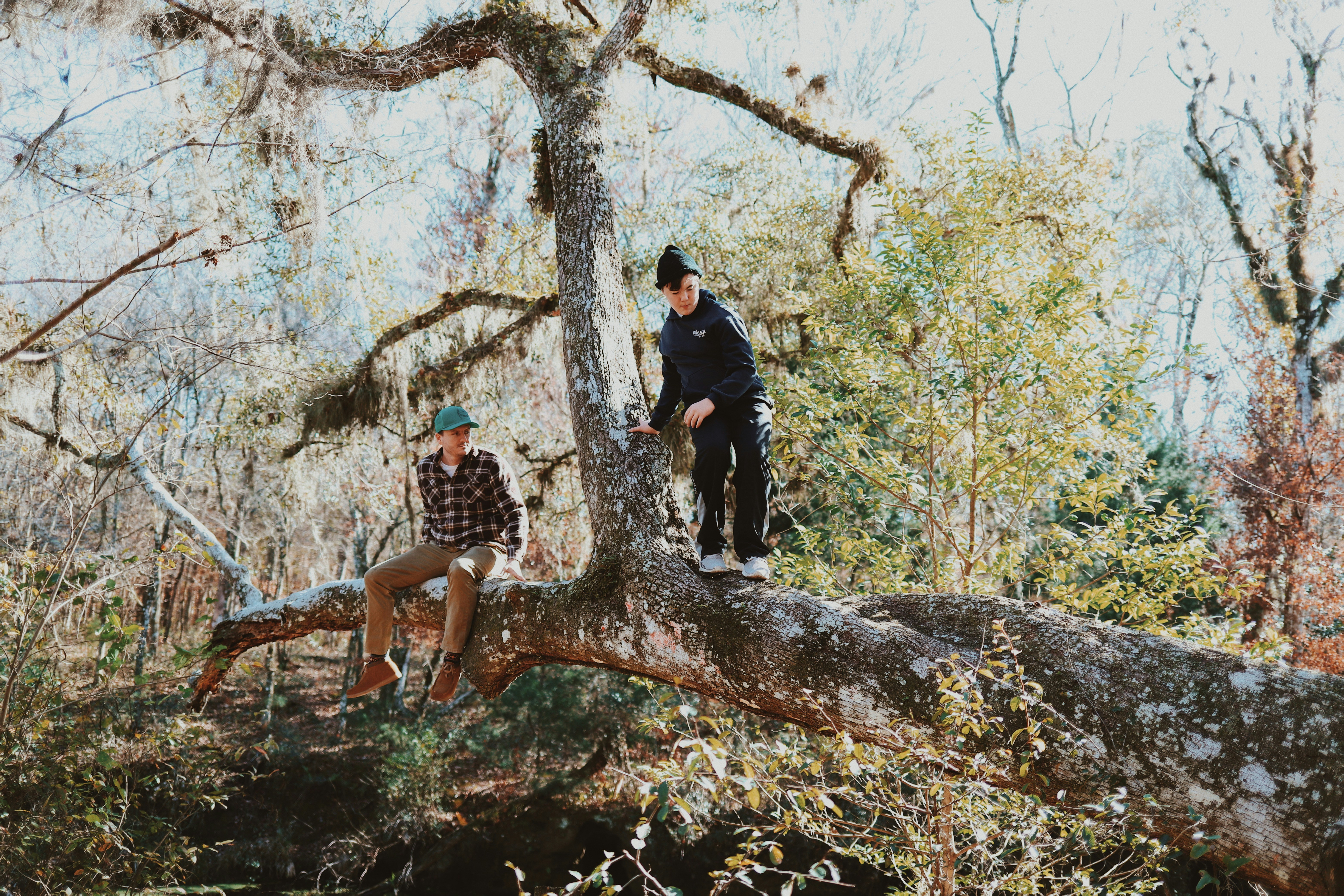 2 women standing on brown tree trunk during daytime