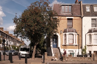A street scene featuring a row of classic brick terrace houses with bay windows. A mature tree with green leaves and red berries stands prominently by the sidewalk. A white van is parked on the street alongside several bollards. A person walks a dog on the sidewalk, creating a peaceful neighborhood atmosphere under a partly cloudy sky.