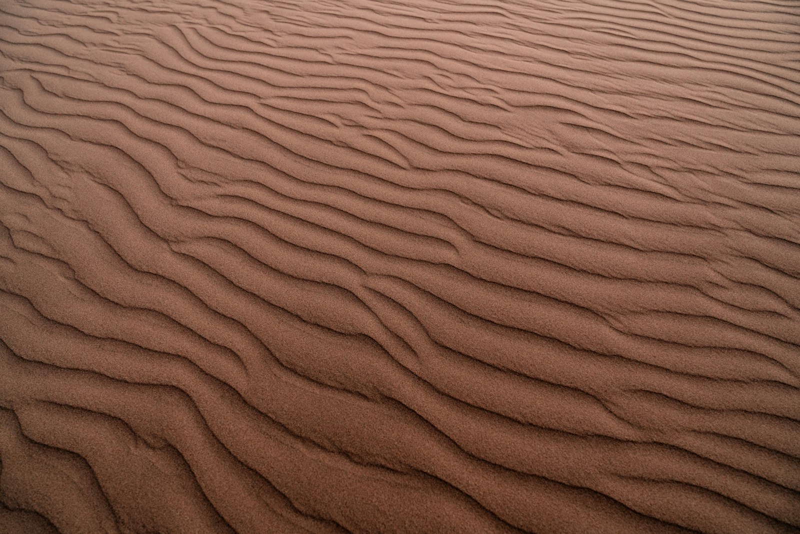 Sony a7R III + Sony FE 24-70mm F2.8 GM sample photo. Brown sand with shadow photography