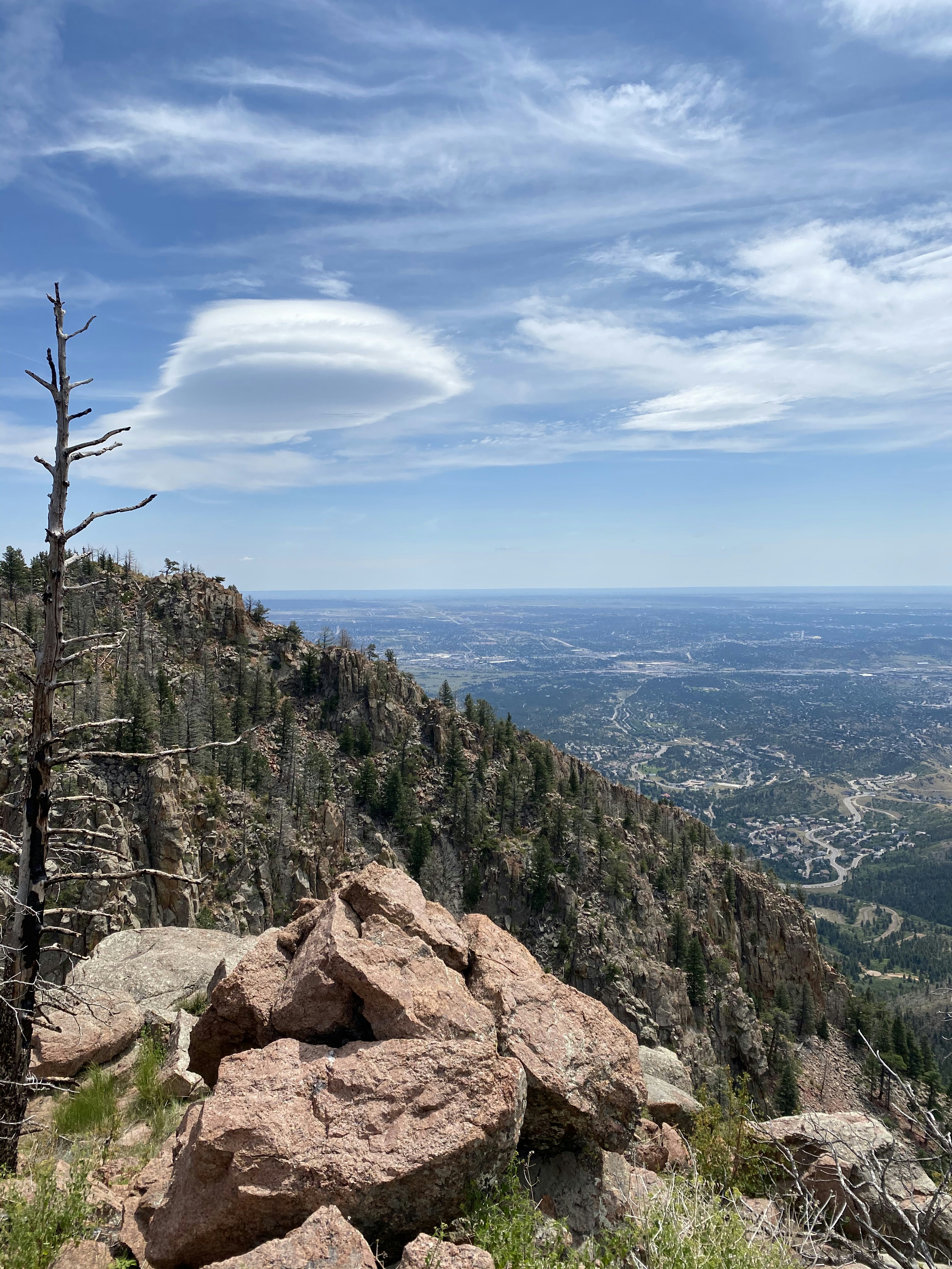 Photo by laitonbarbo