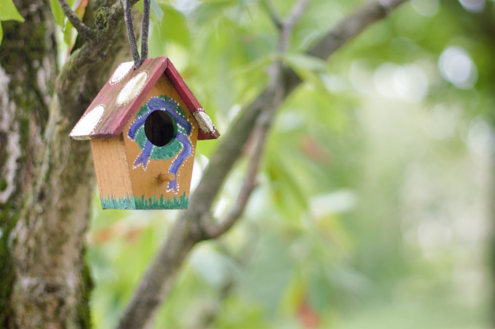 blue and brown wooden bird house