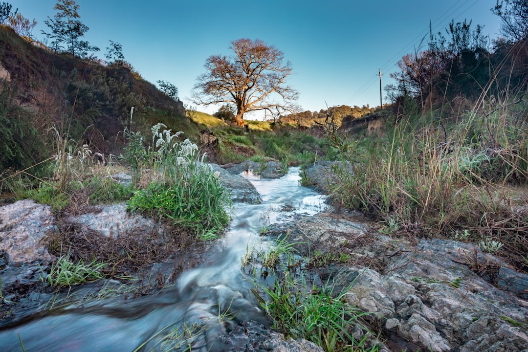 green grass and brown rock formation near river during daytime