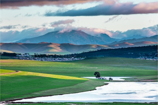 person in green field under cloudy sky during daytime in Caledon South Africa