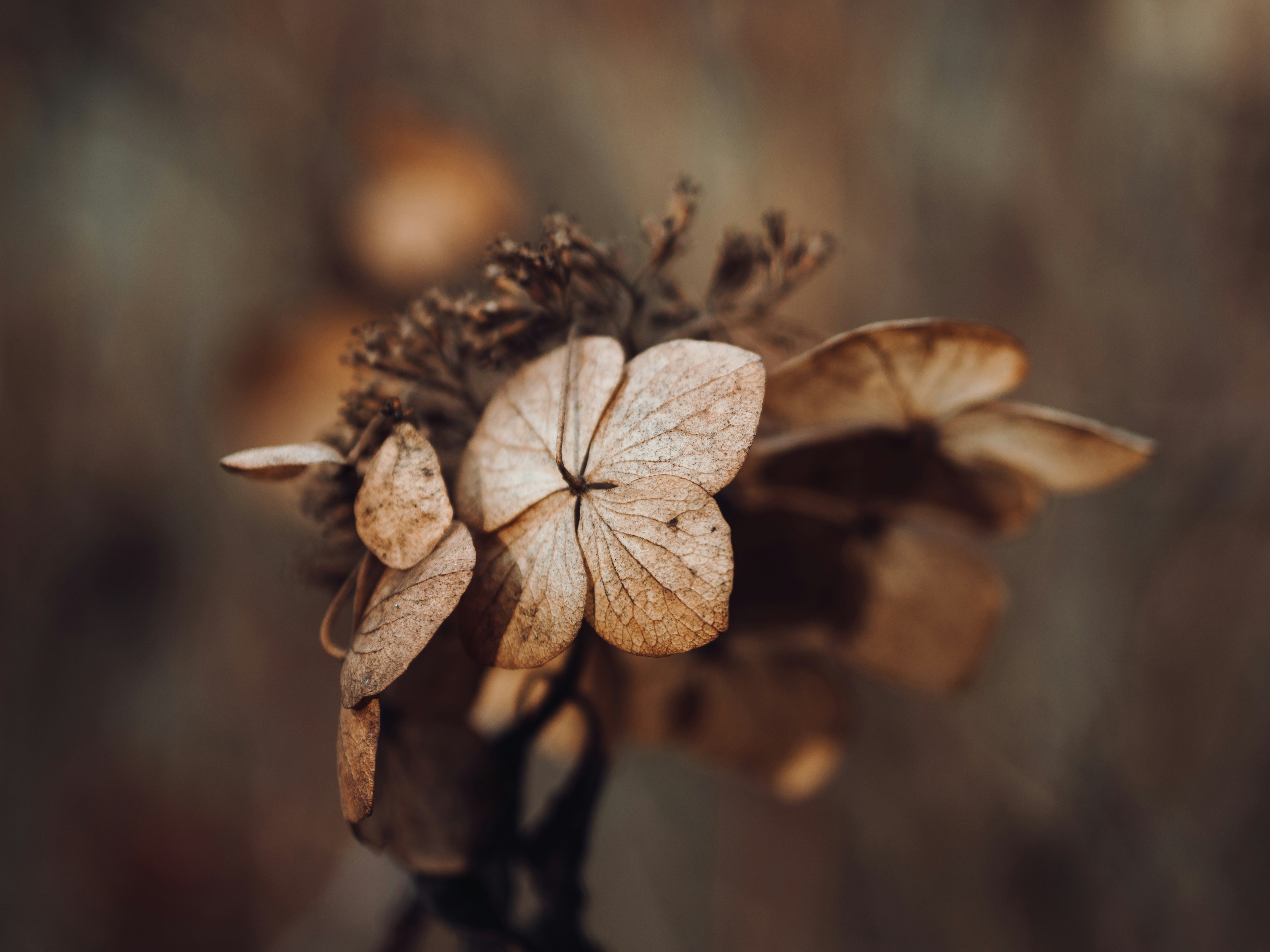 Photo by grumpymarshmallow