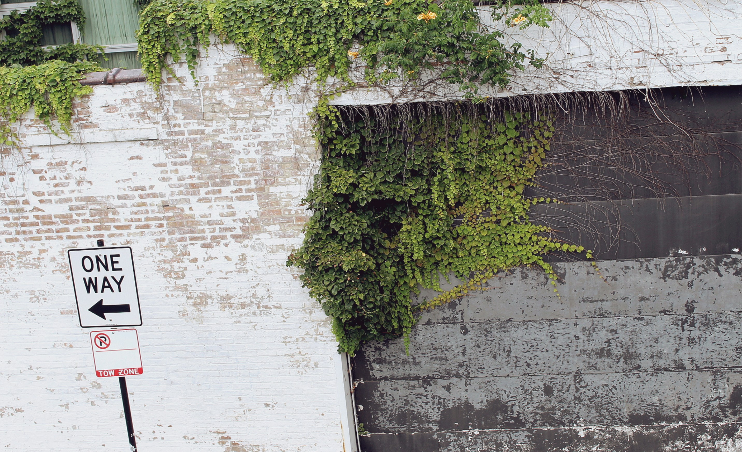 Photo by pat_joseph_