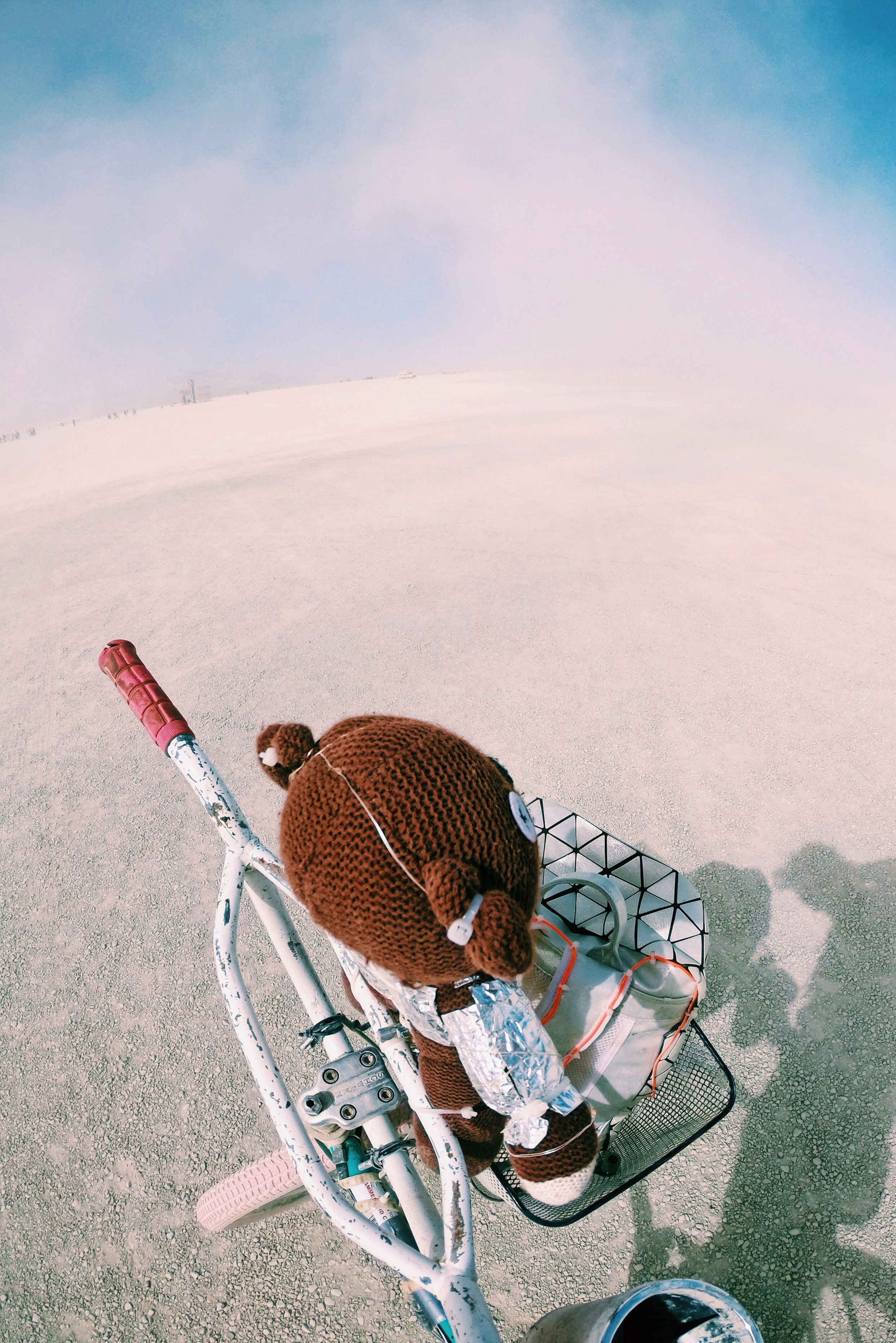 모래 폭풍 속 오아시스: 사막에서 과학으로 생명을 틔우는 식물의 비밀