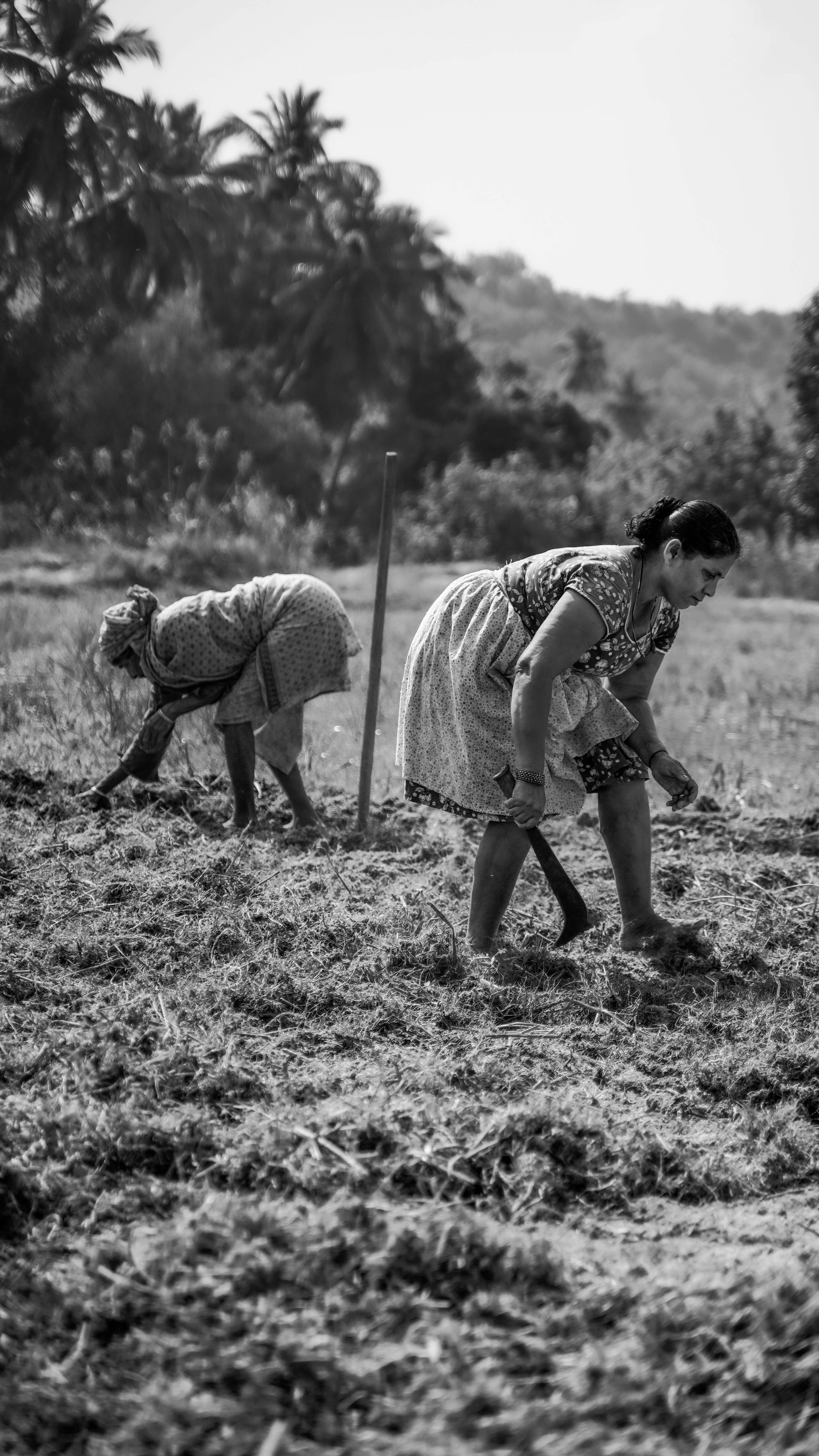 2026년 농어촌기본소득 대상지역 확대 여부 및 신청 자격 확인 방법 이미지1