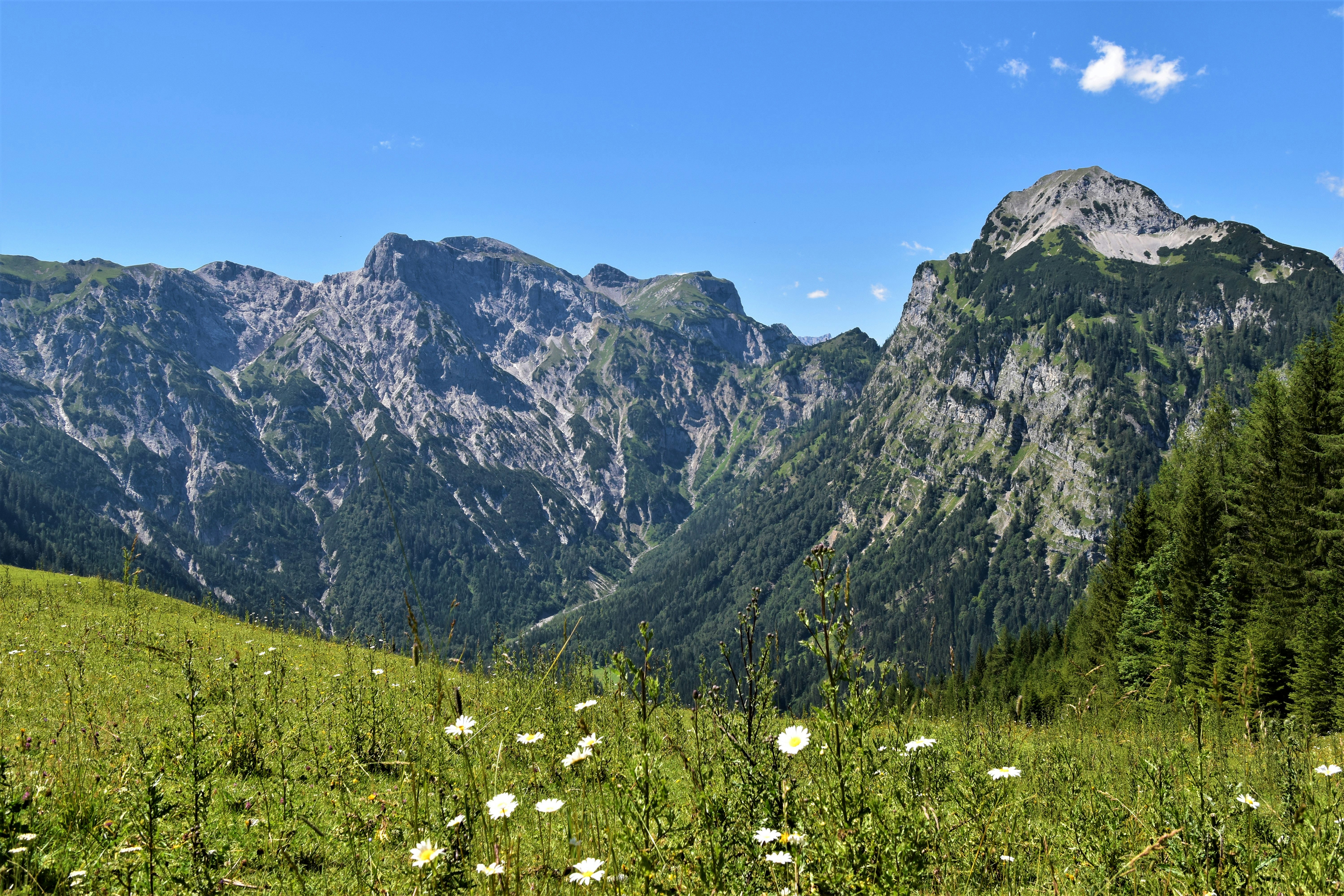 green and gray mountain under blue sky during daytime