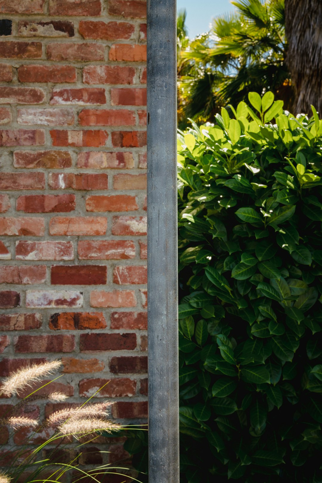 green plant beside brown brick wall