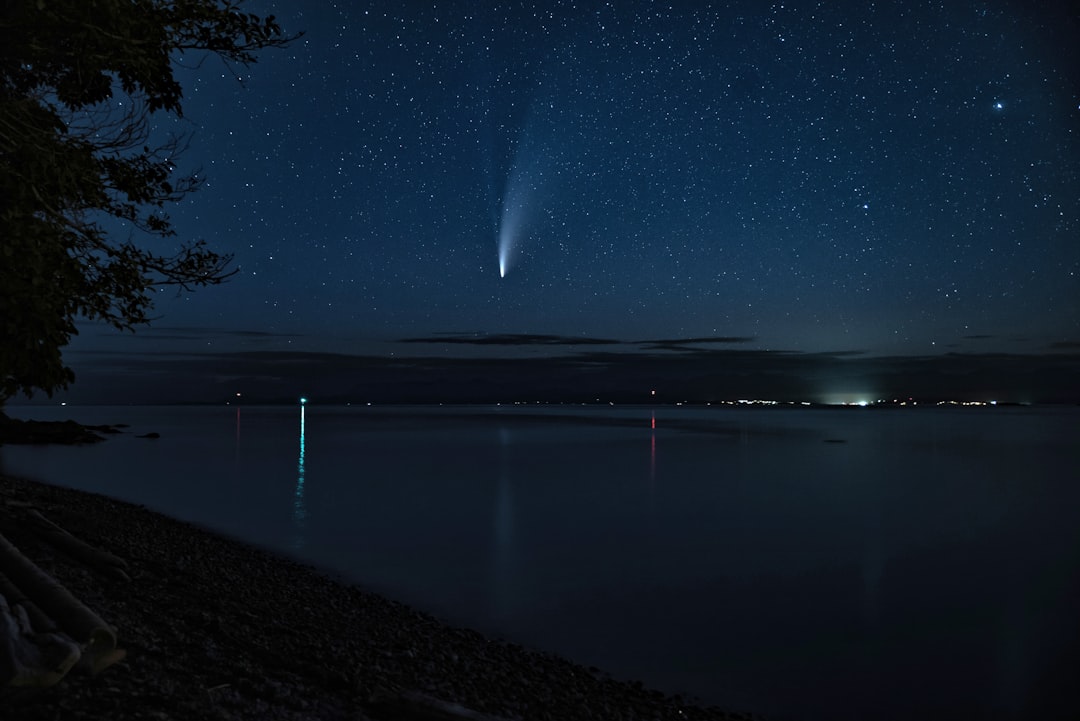 body of water near trees during night time