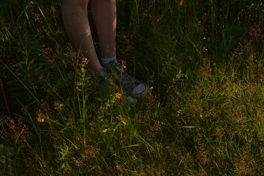 person in blue and white sneakers standing on green grass field during daytime