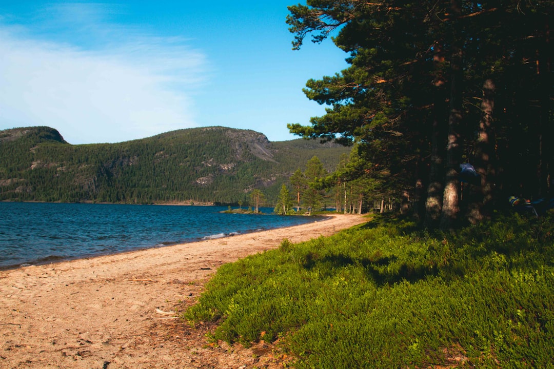 travelers stories about Shore in Treungen, Norway