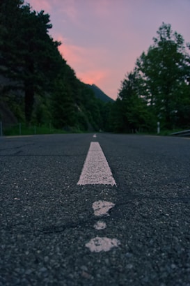A road stretches forward, flanked by dense trees on both sides, with a white line in the center leading the eye deeper into the horizon. The sky above features a soft gradient of colors, transitioning from pinkish hues to darker shades. The scene conveys a tranquil, almost nostalgic feeling with the natural and open setting.