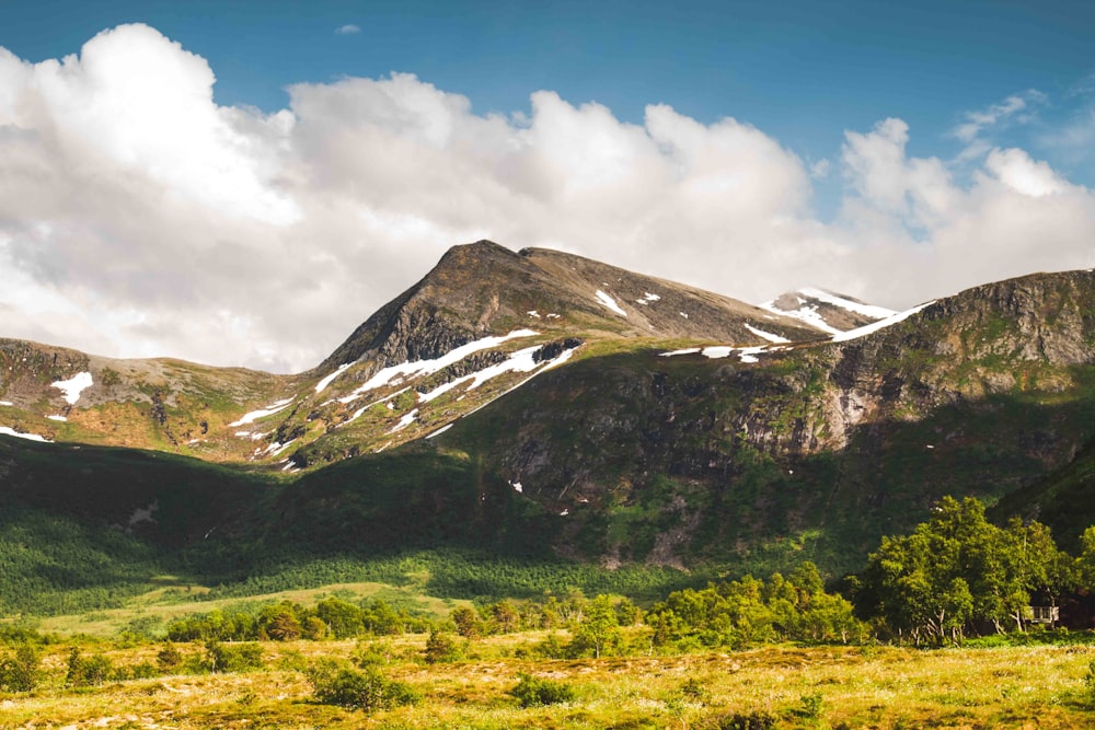 green and brown mountains under blue sky during daytime