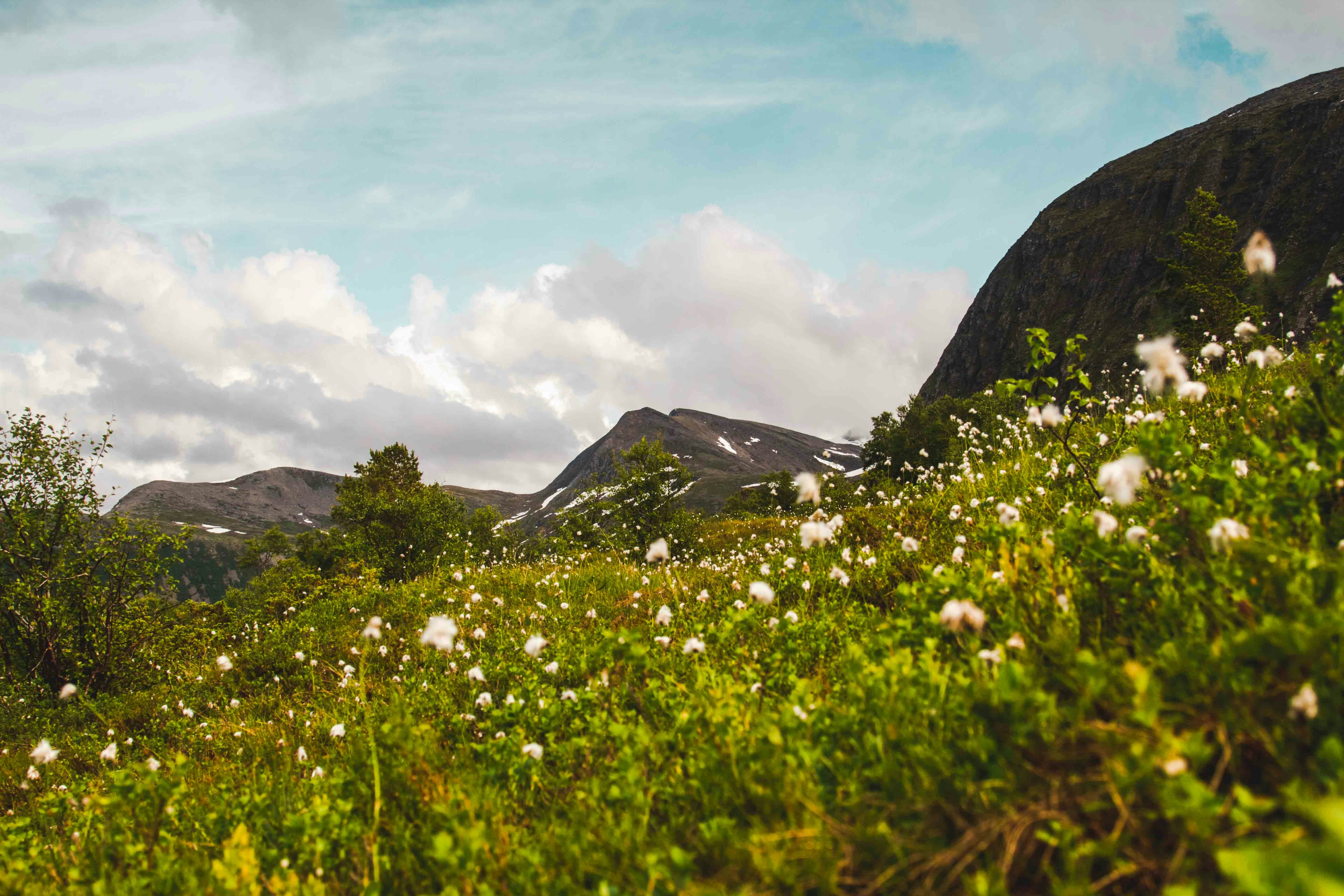 Green grass field near mountain under white clouds during daytime photo ...