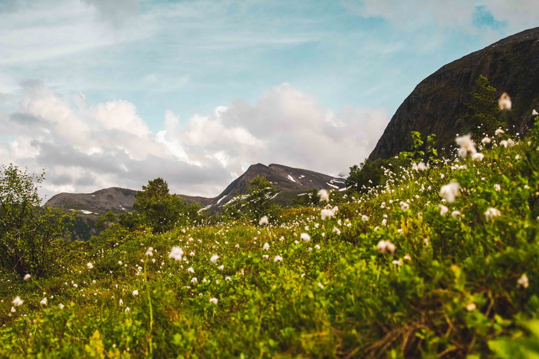 Hill station photo spot Norway Besseggen