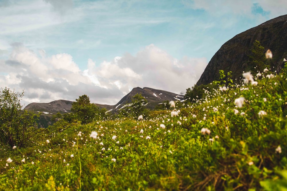 green grass field near mountain under white clouds during daytime