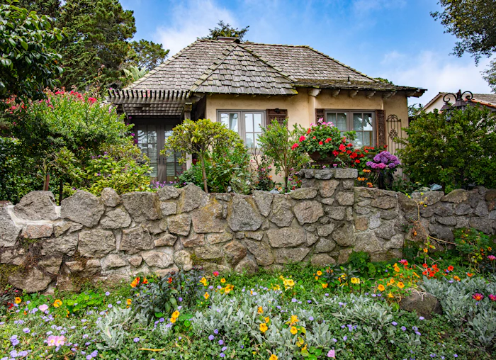 Pale flowers planted beside a house wall