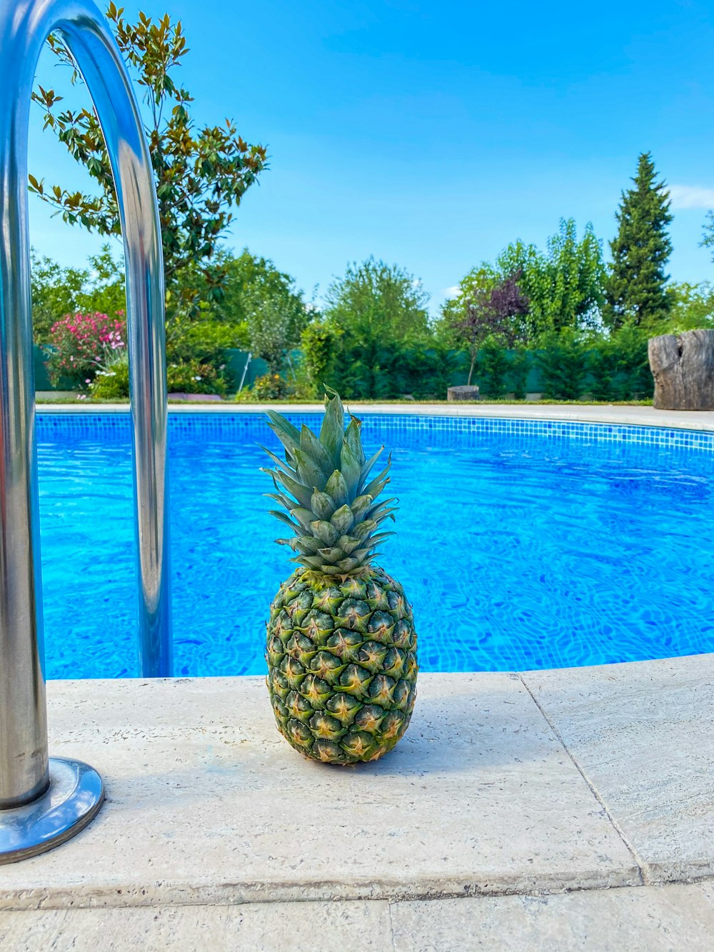 pineapple fruit near swimming pool during daytime