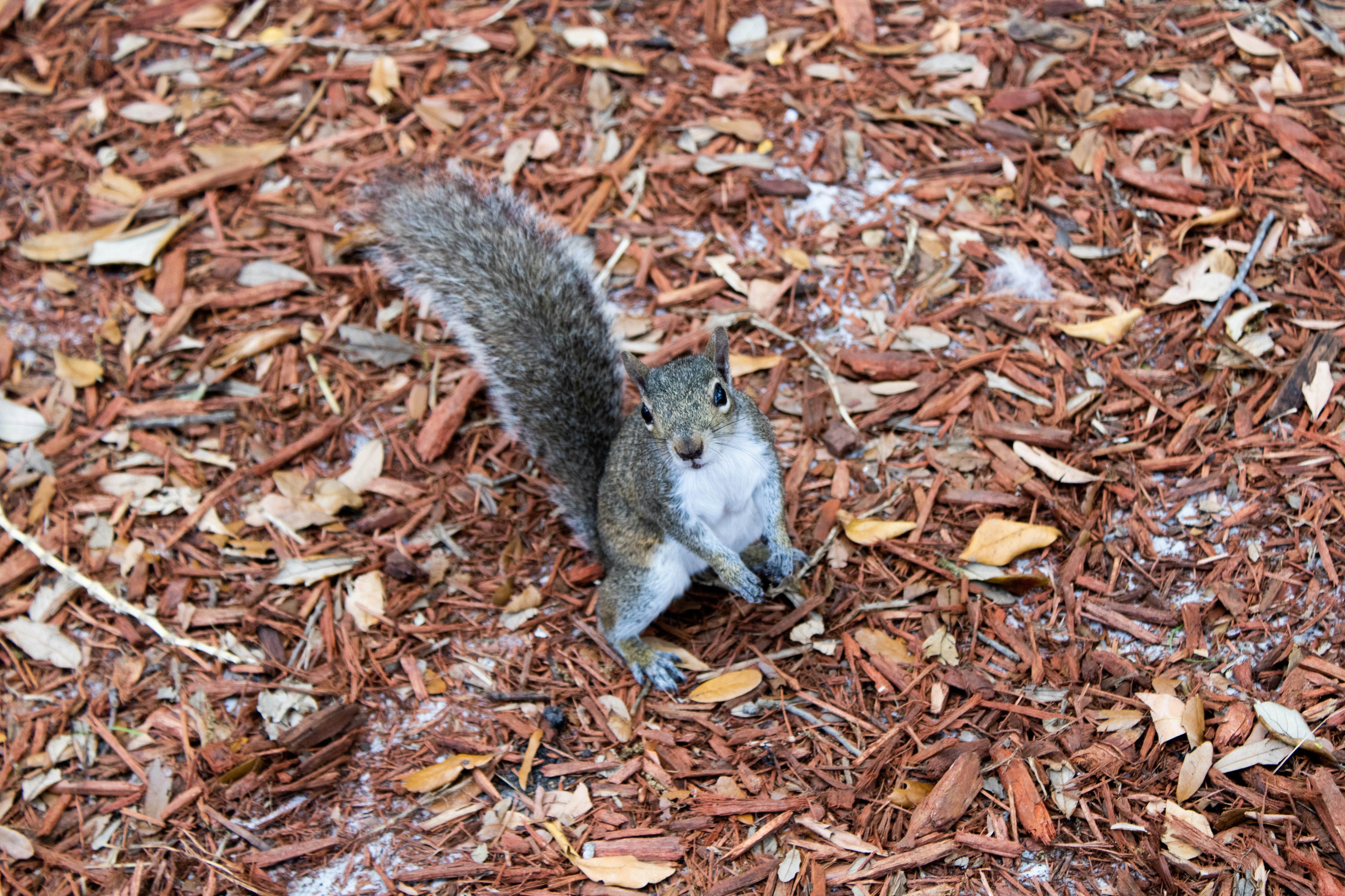 Photo by valetroncoso