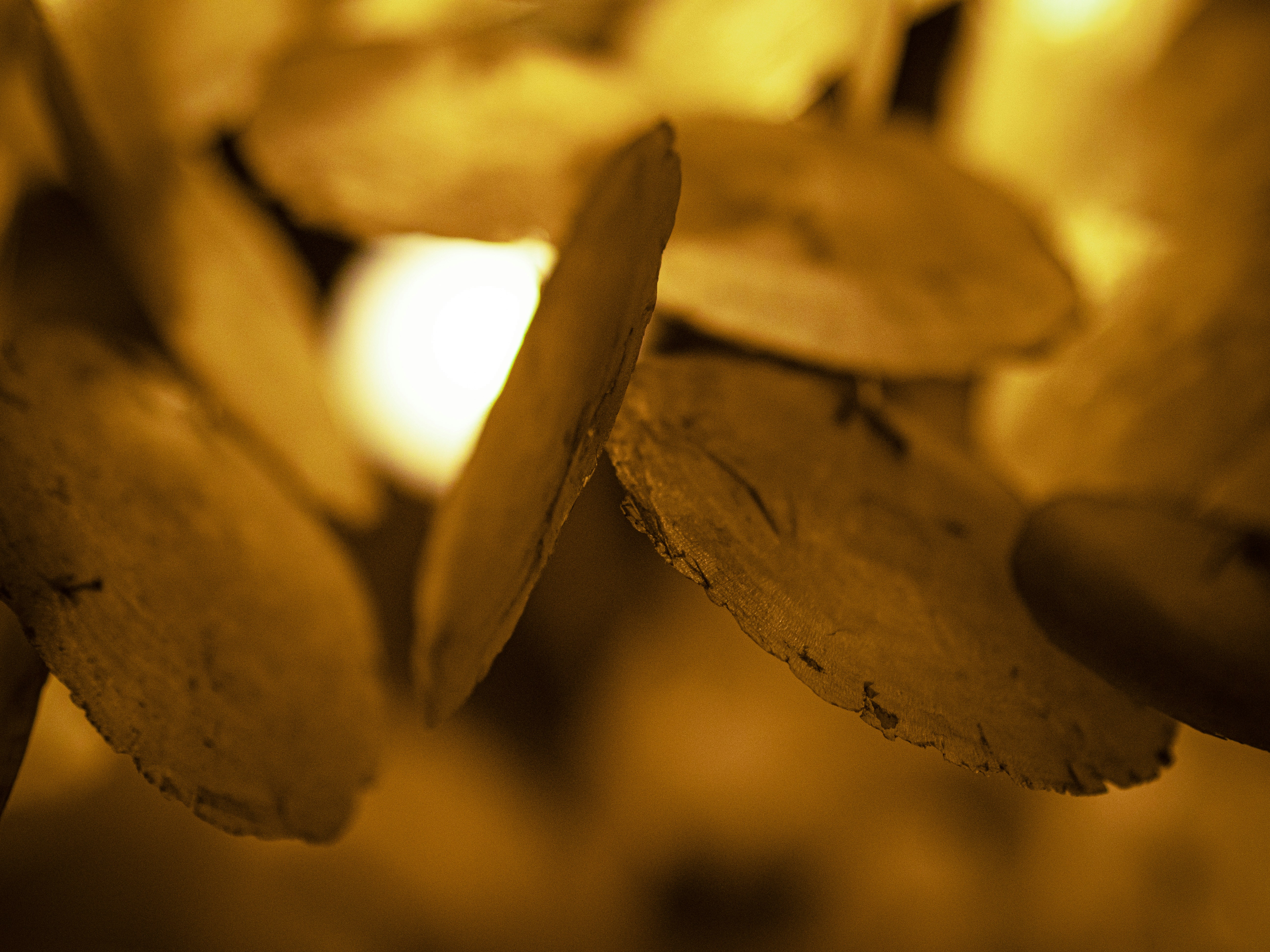 Photo by pedrotheartist