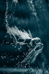 white and blue water splash
