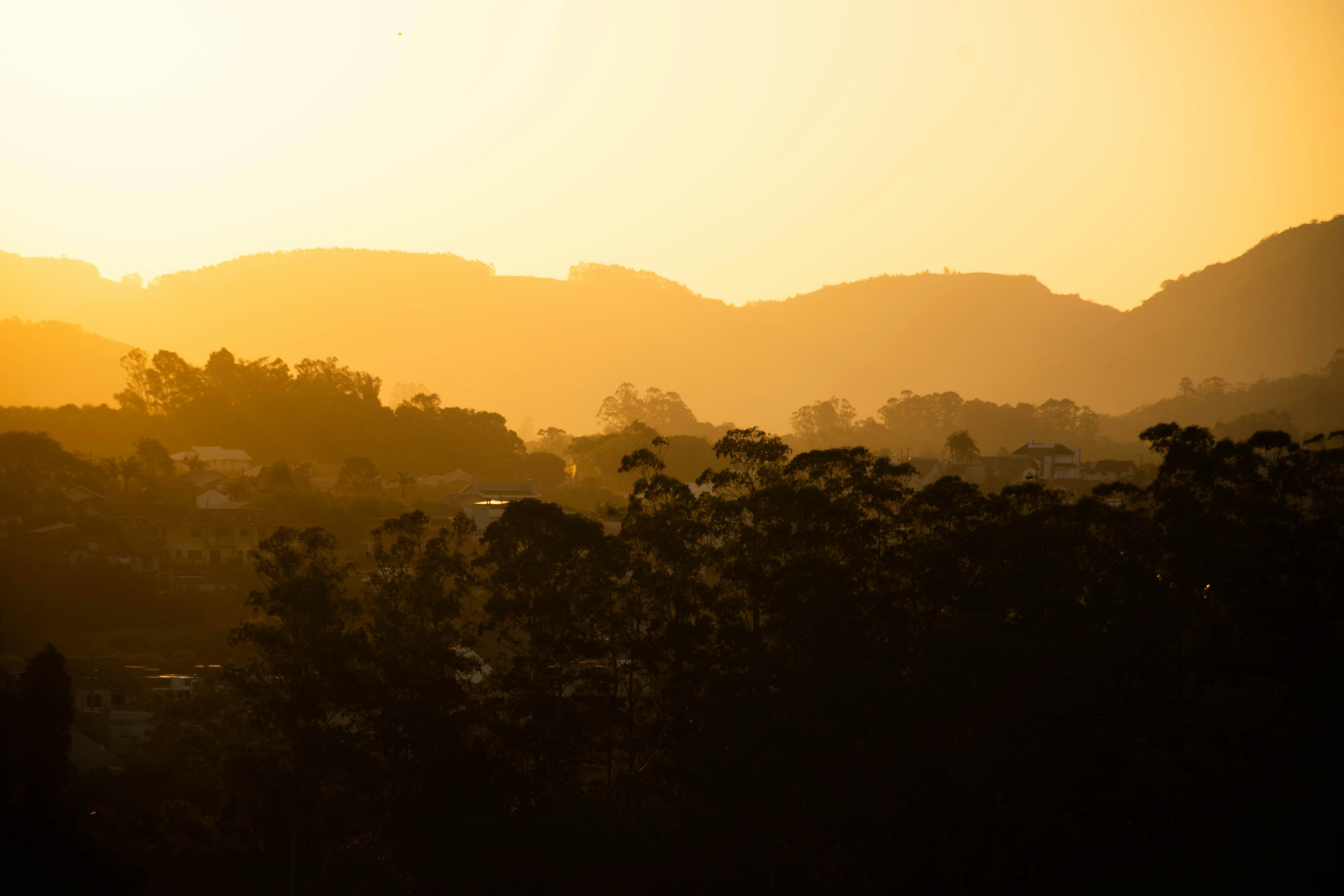 Photo by lucasgwendt