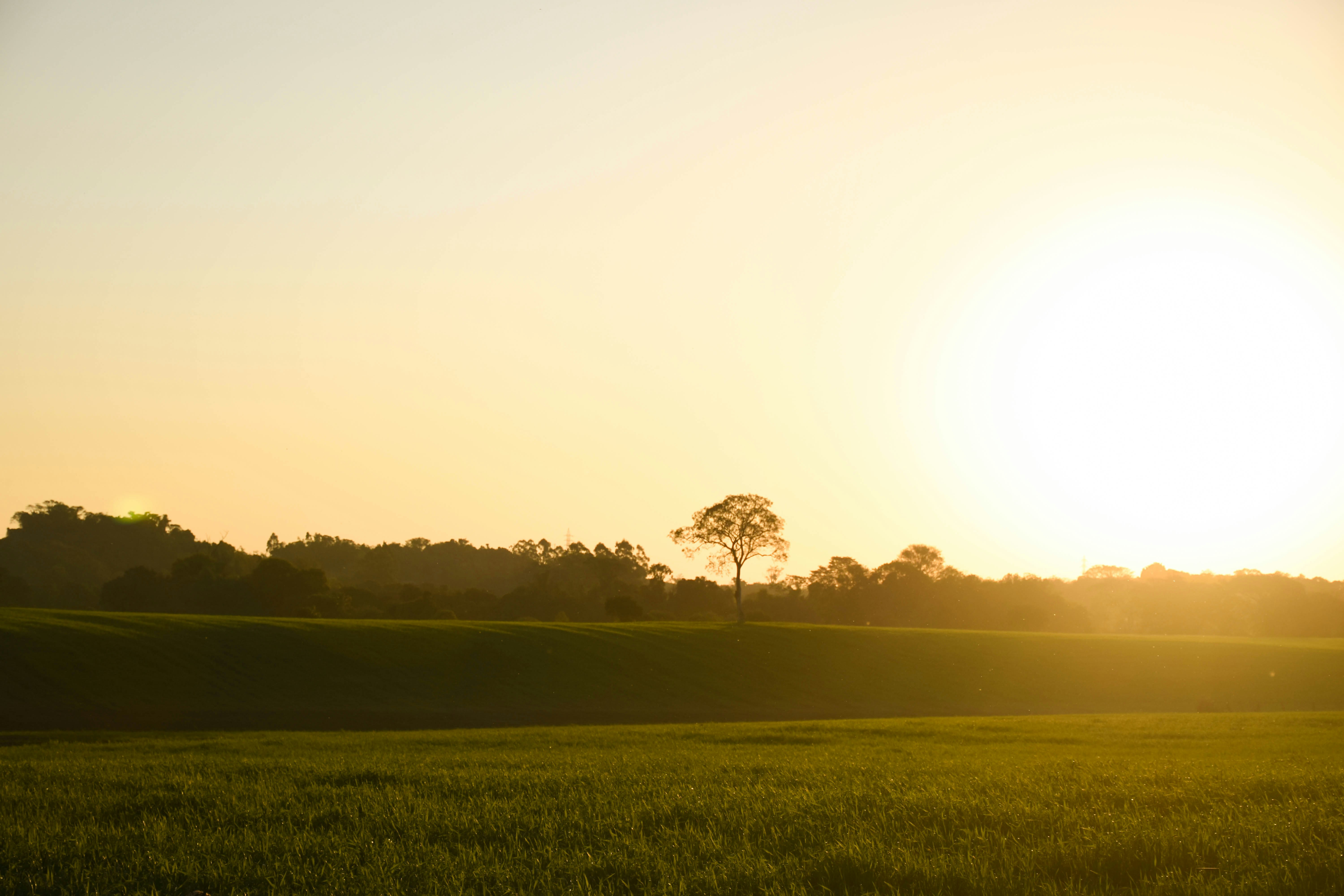 Photo by lucasgwendt