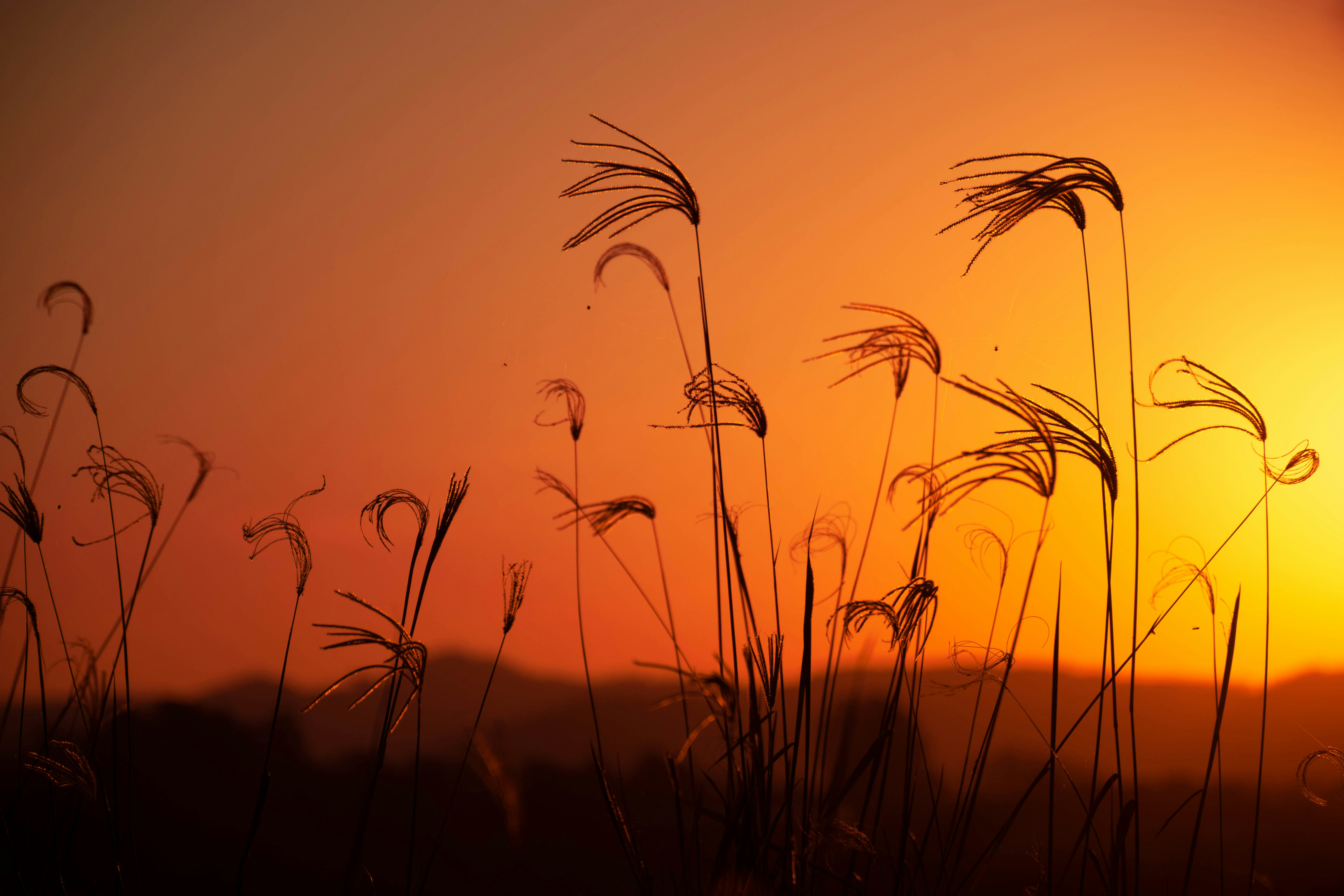 Photo by lucasgwendt