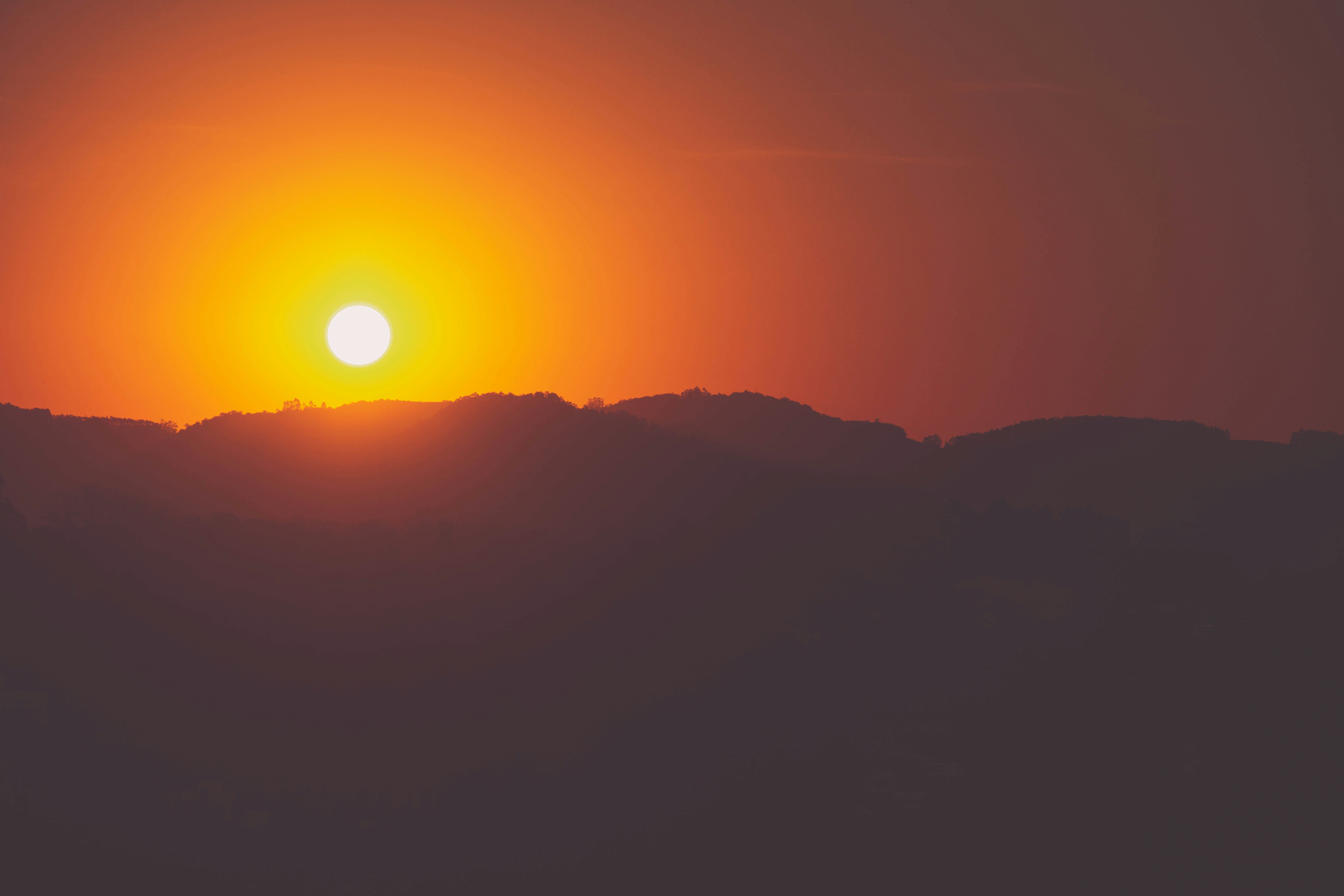 Photo by lucasgwendt