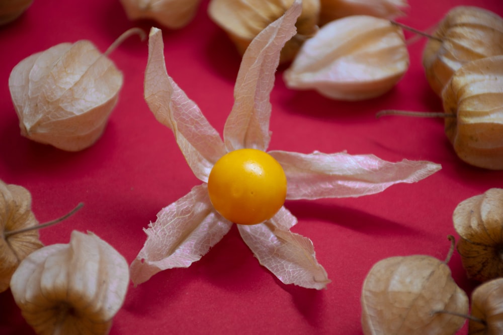 yellow round fruit on pink textile