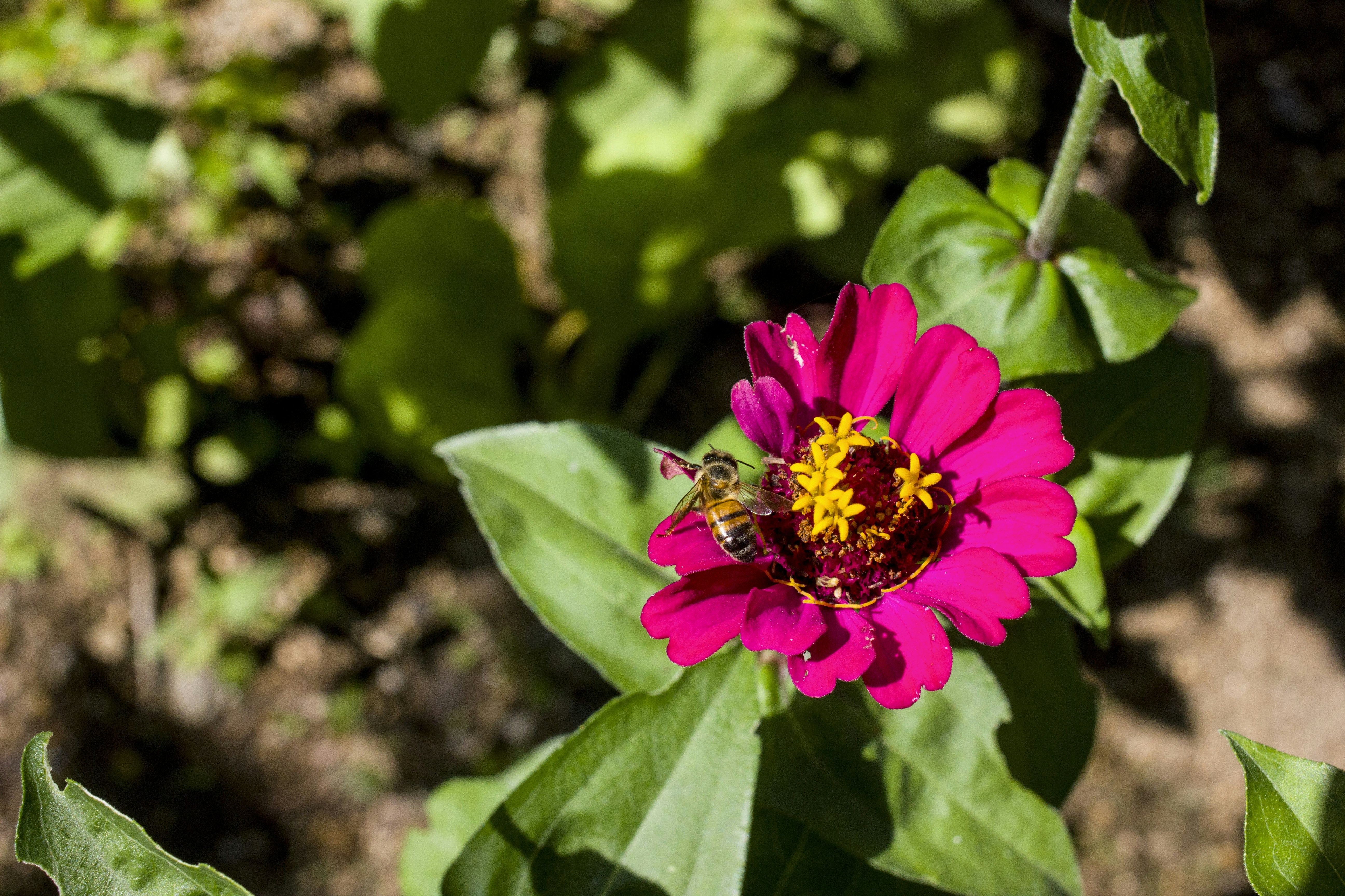 Photo by robincanfield