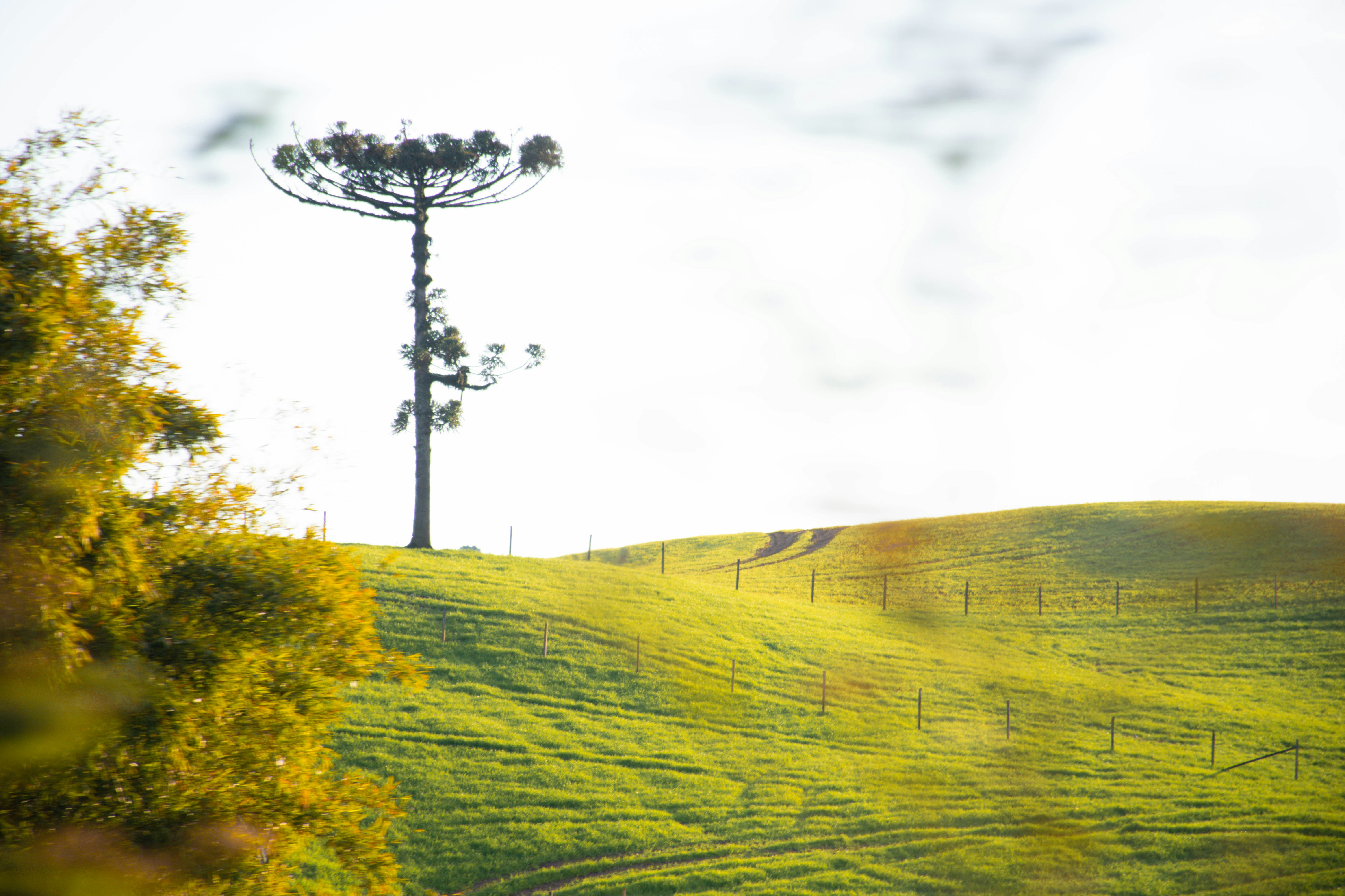 Acer M6E vs TP-Link MR515: Best 5G/4G Router for UK Rural Workers