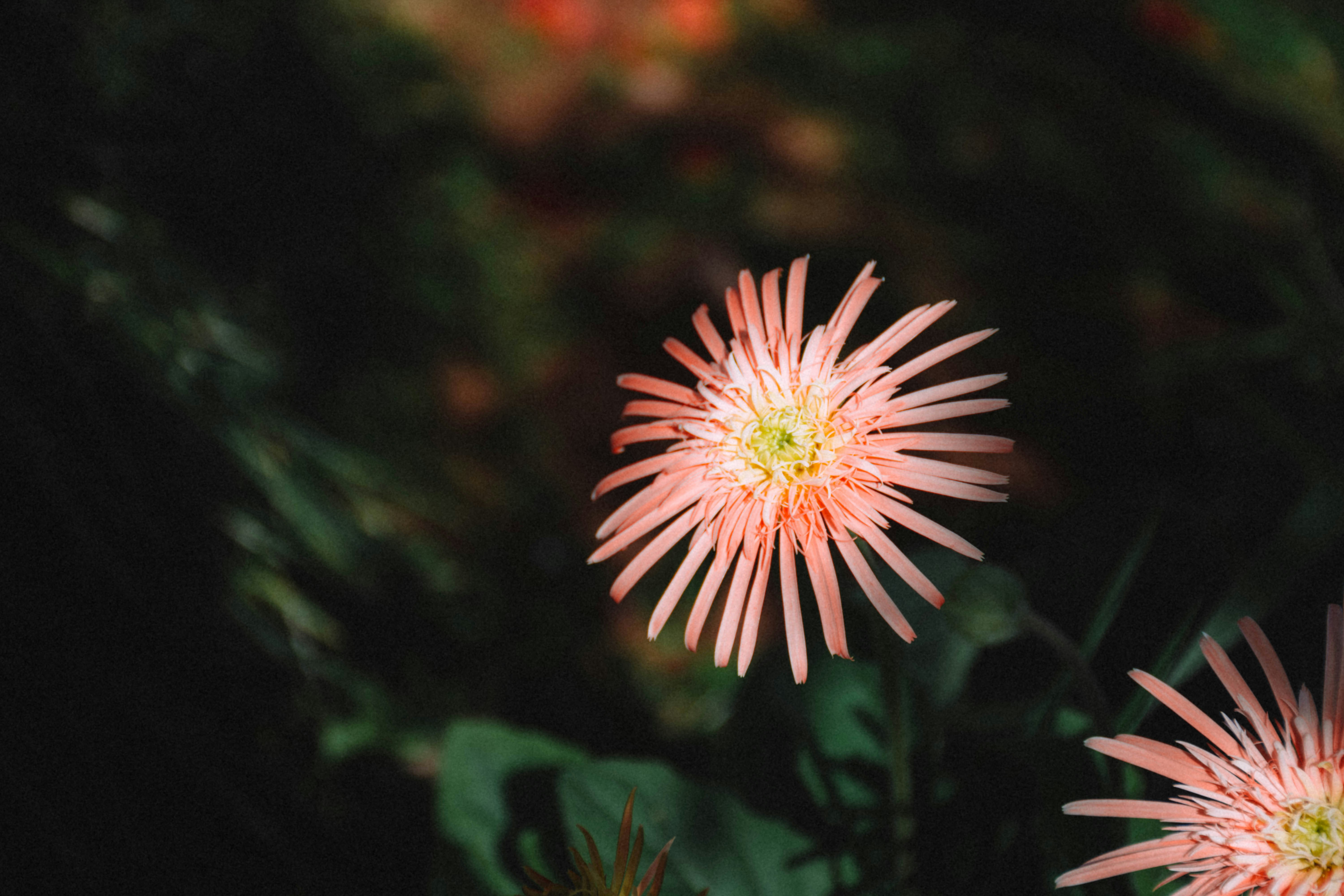 Photo by lucasgwendt