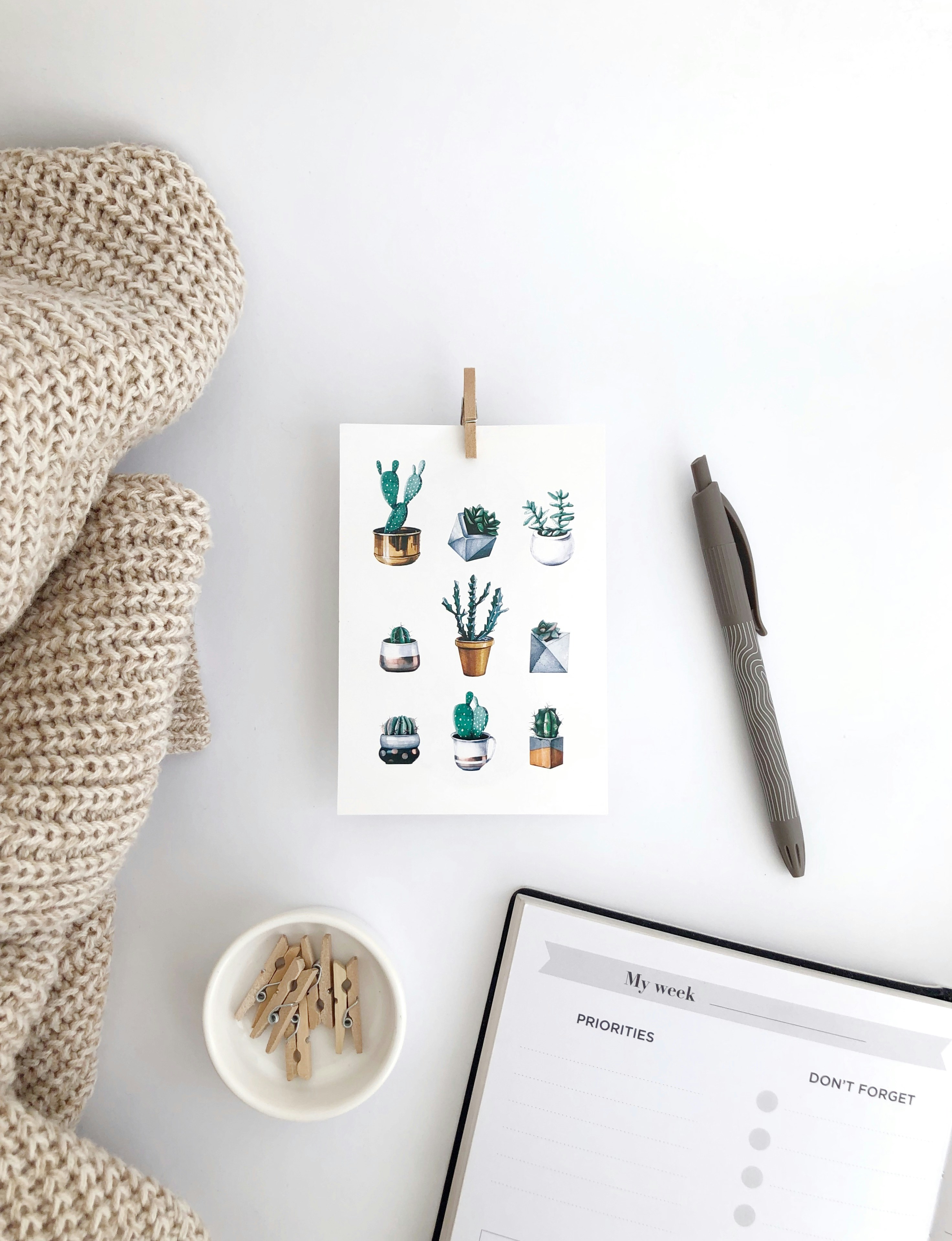 Photo by brandtobasics