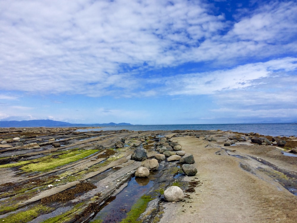 brown wooden log on beach shore under blue sky during daytime