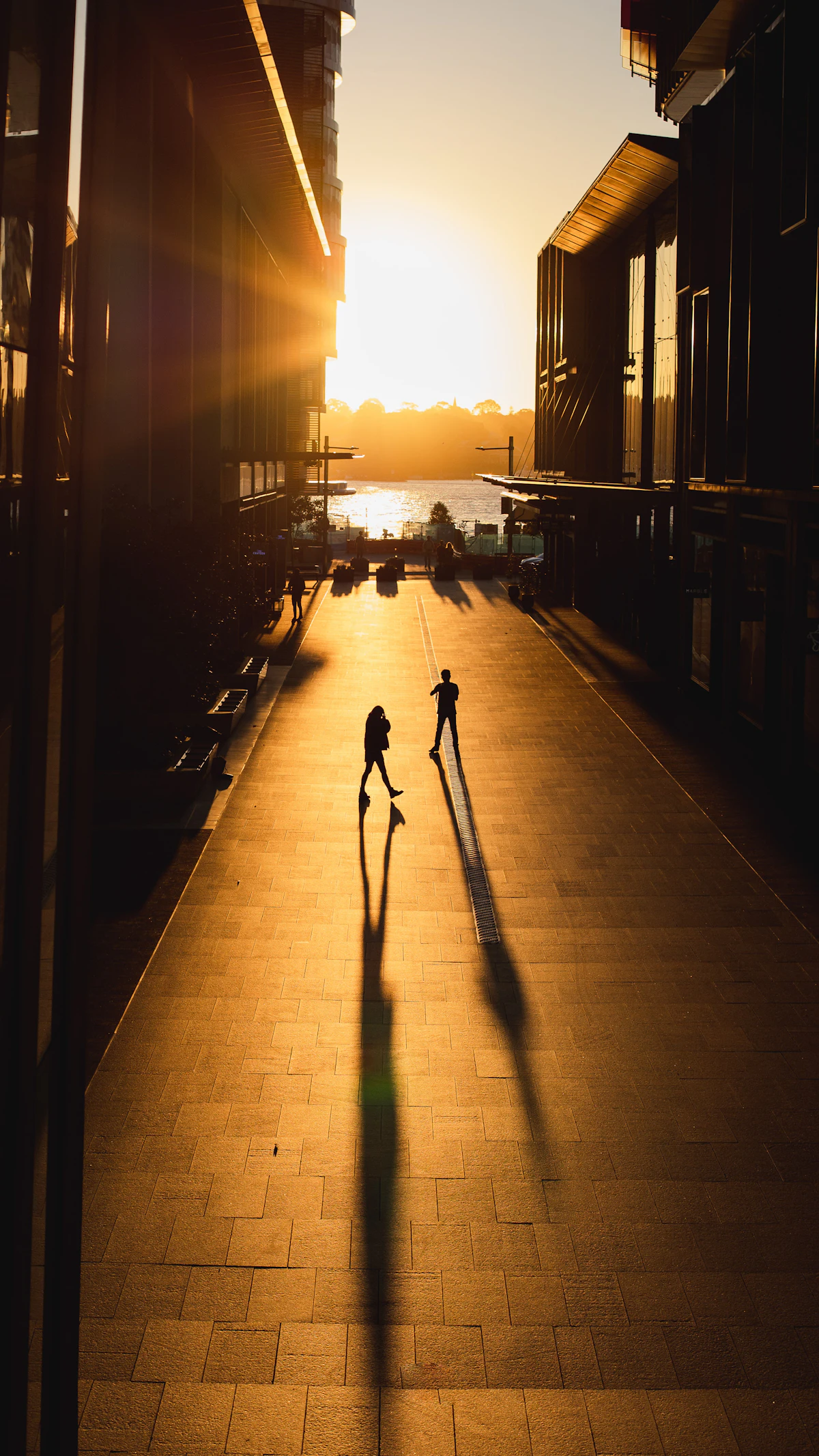 The waterfront promenade and modern towers of Barangaroo Reserve Sydney