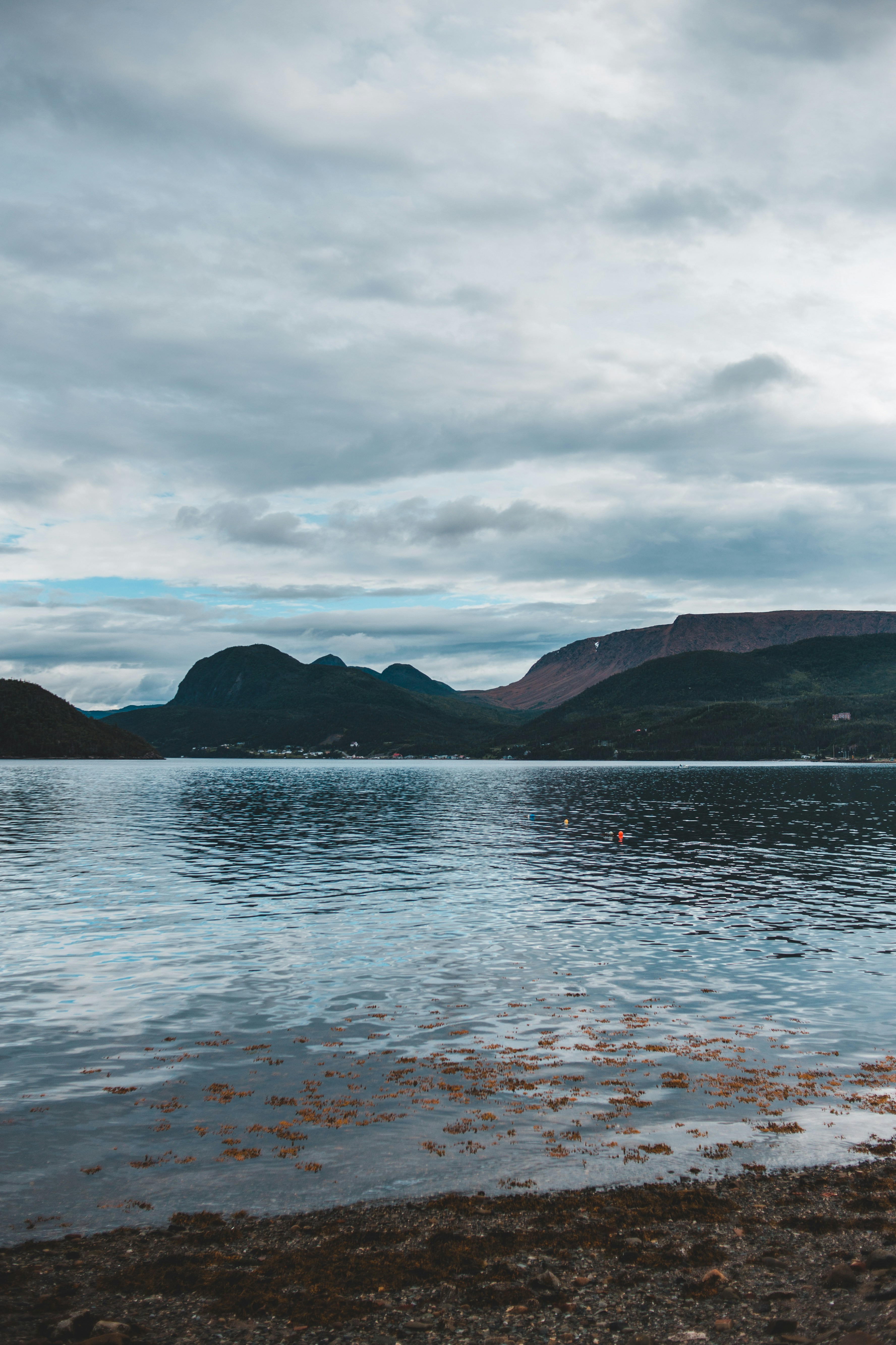 Photo by introspectivedsgn