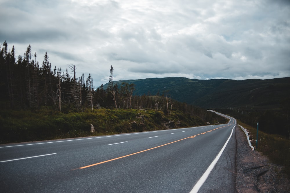 gray concrete road between green trees under white clouds during daytime