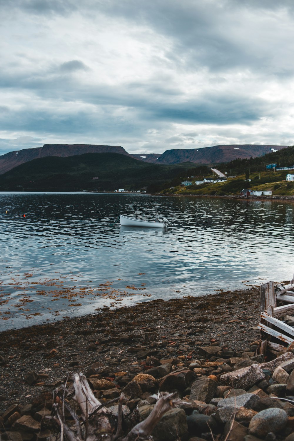 white boat on sea shore during daytime