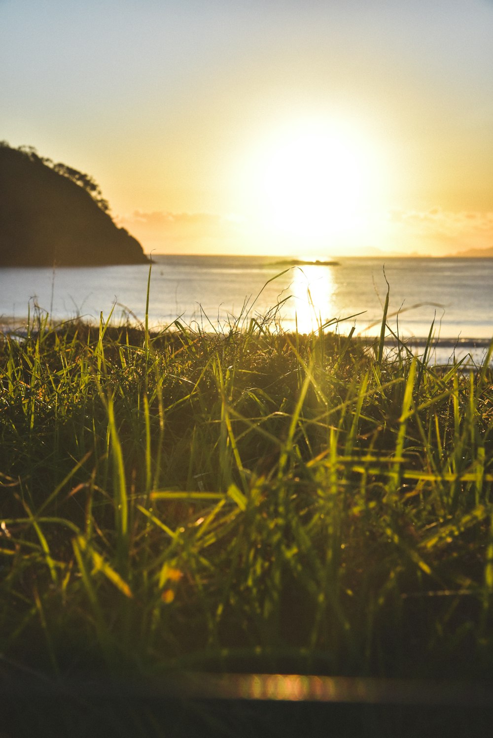 green grass near body of water during daytime