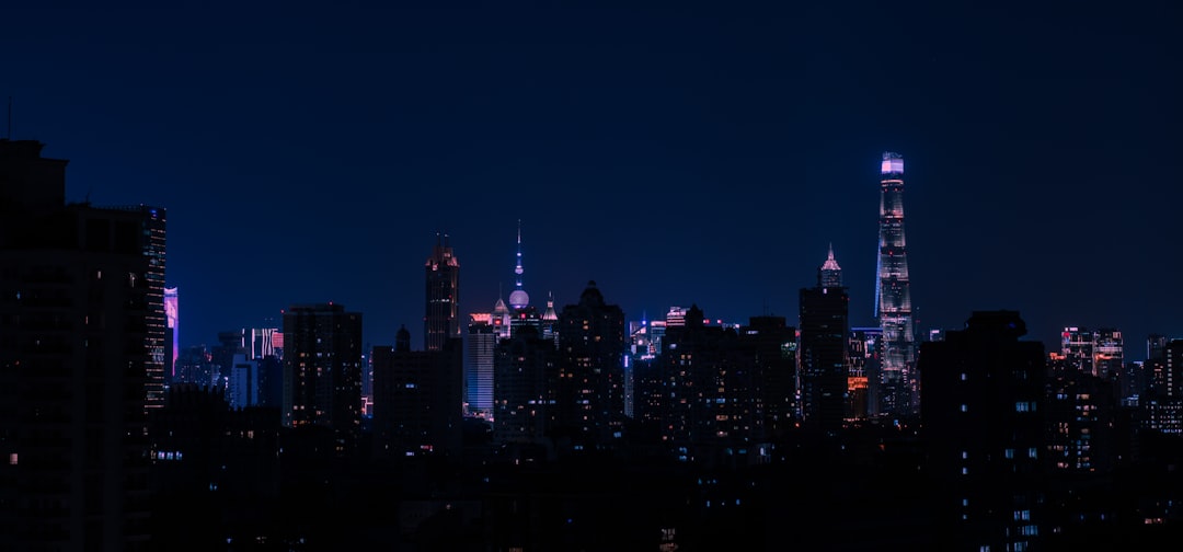 city skyline during night time